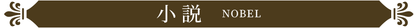 小説